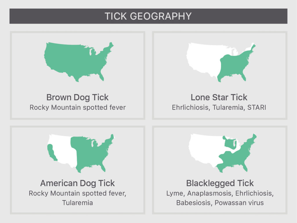 Maps with locations of different ticks in the United States