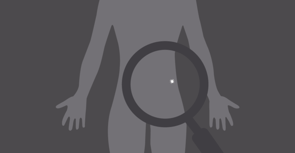 Diagram of tick located on body