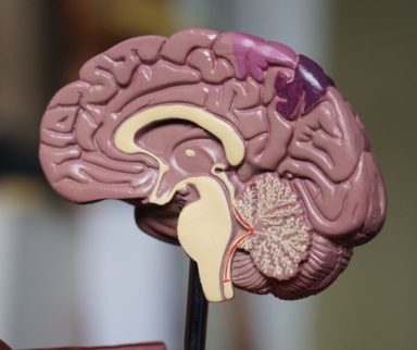 Why medical students should choose neurology