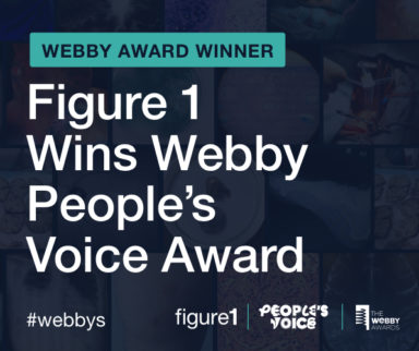 Figure 1 Wins Webby Award