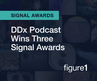 Signal Awards